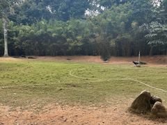-深圳野生动物园