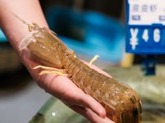 -强记海鲜·大排档(蛇口新街店)
