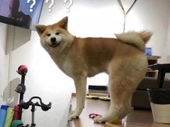 -YCHL Studios健身工作室(市二宫店)