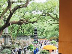 -普陀山风景名胜区-法雨禅寺