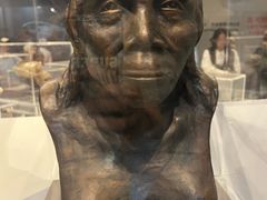 -北京周口店北京人遗址博物馆