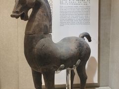 -乐山市博物馆