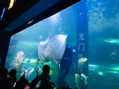-洛阳龙门海洋馆