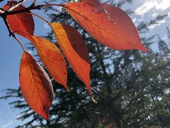 -杭州城北体育公园