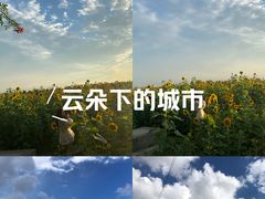 -美兰湖景区