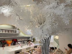 -初颜品佑肌肤管理