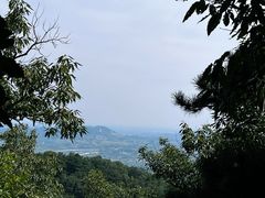 -晨汐石苑·清真菜农家院