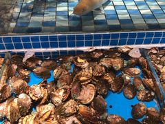-蓝钻·国际美食海鲜自助百汇(西直门店)