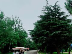 -日照海滨国家森林公园