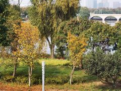 -东南大学(九龙湖校区)