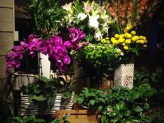 iphone_upload_pic-春暖花开(西溪店)