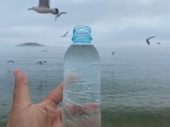 -傅家庄公园