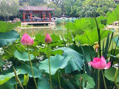 -宣武艺园