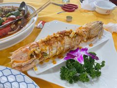 濑尿虾-蚝专家(北滘店)