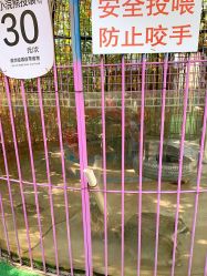 -萌宠亲子动物乐园(槐房万达店)