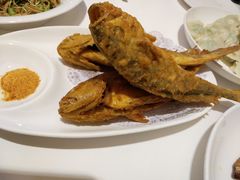 -金春禧(英雄山路旗舰店)