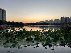 -南翔镇银翔湖公园