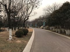 -济南国际园博园