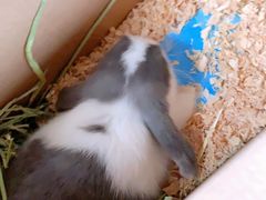 -龙猫仔乐园(惠福东路店)