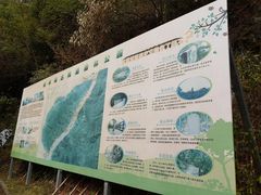 -羚羊峡古栈道森林公园