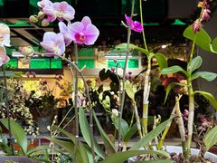 -谷咖啡·鲜花绿植花园餐厅