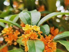 -苏州河梦清园环保主题公园