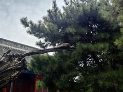 -大钟寺古钟博物馆