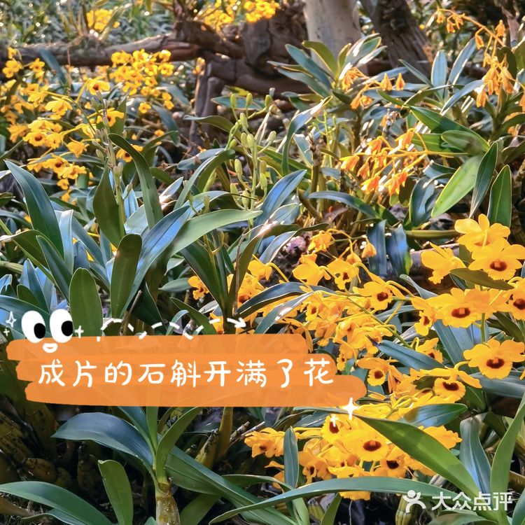 广西边境六天五夜自驾游（2）：第一天，南宁集结。