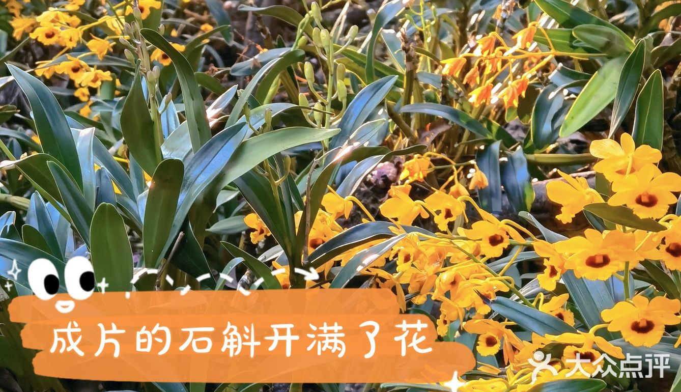 广西边境六天五夜自驾游（2）：第一天，南宁集结。