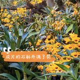 广西边境六天五夜自驾游（2）：第一天，南宁集结。