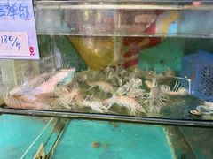 -明记海鲜美食老字号(明记总店)