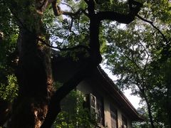 -浙江省博物馆(孤山馆区)