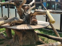 -大连森林动物园