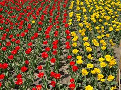 -长春公园(普阳街道)