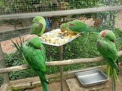 -大连森林动物园