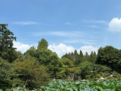 -杭州植物园