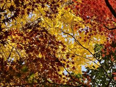 -浙江大学(紫金港校区)