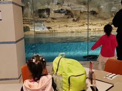 -帝企鹅自助餐厅•儿童岛•真企鹅(长隆企鹅酒店)