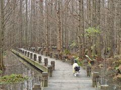 -桤木河湿地公园