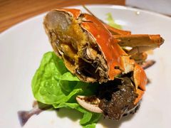 熟醉毛蟹-原製原味(普陀山磐龙店)
