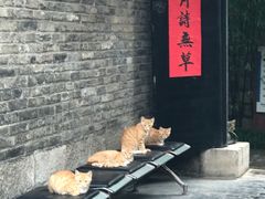 -天朝元辅-徐州民俗博物馆