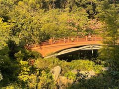 -云溪植物园