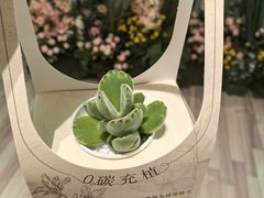 -上海月星家居(澳门路店)