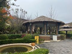 -大连金石滩绿发温泉假日酒店