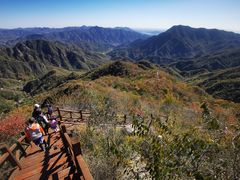 -大岭沟猕猴桃谷风景区