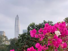 -莲花山公园