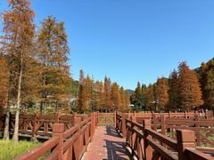 -广州市石门国家森林公园