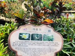 -南山植物园