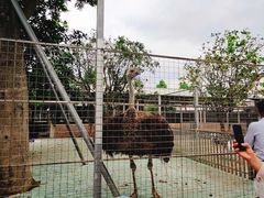 -迪茵湖田家舍生态农场