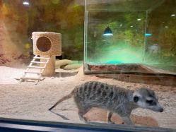 -酷嗒动物文化乐园(cutezoo西溪乐天城店)